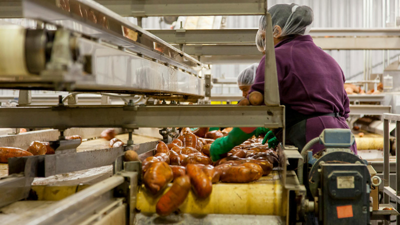 Chiropractic Care and Industrial Injuries