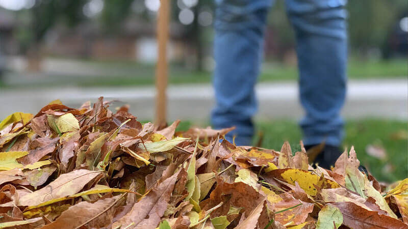 Chiropractic Care and Raking Leaves