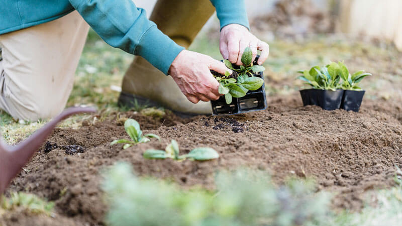 Spring Cleaning and Gardening Safety: Nurturing Your Body Amid Blossoms