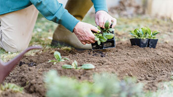Spring Cleaning and Gardening Safety Image